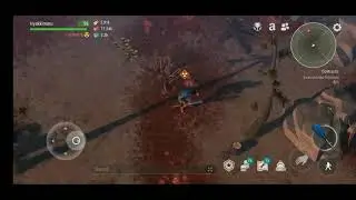 How to kill miner solo