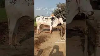 for you page video viral clips #unfrezzmyaccount #