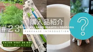 【購入品紹介】ユニークで素敵な【鉢】を４つ買いました♡ No.023