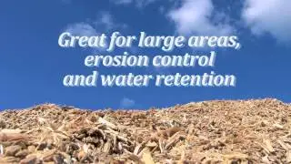 Blue Chip Mulch