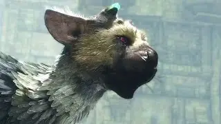 GIANT CAT DEATH BEAM!!! | The Last Guardian - Part 1