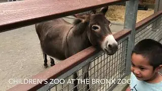 Children&rsquo;s Zoo at the Bronx Zoo