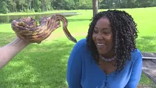 Do you know what to do if you find a snake in your home?