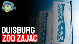 ZOO ZAJAC (Duisburg-Germany) | Aquariumwinkel / Dierenwinkel | Aquarium Sunshine Valley