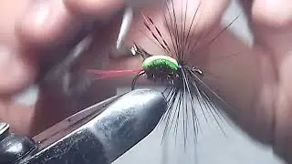 Musca de clean
