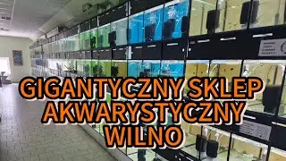 Gigantyczny sklep zoologiczny - Wilno.