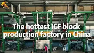Fully Automatic ICF Block Production Line, Automated EPS Shape Molding Machine, ICF Block Plant