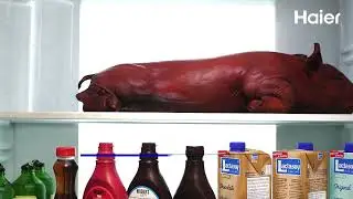 Get to know Haier's Triple Cooling Refrigerator