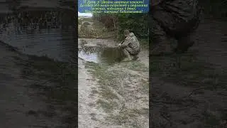 Зброя любить ласку, чистоту і змазку 😏  #WeaponsCare #CleanAndReady #Defense #зсу #війна #ukraine