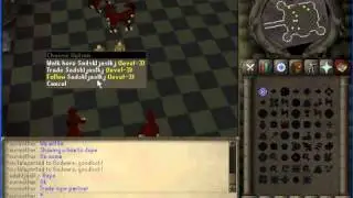 How to dupe on some rsps