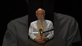 The Groundbreaking Brain Recovery Revolution at PAM Health