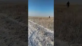 Простейшая модель Як-130. Летит с первого раза!