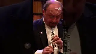 A match made in heaven: Leleux and Hummel ☺️ #oboe #classicalmusic