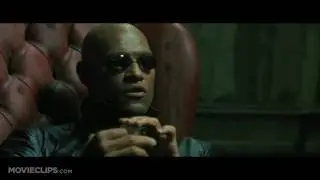 Blue Pill or Red Pill or Cheese Matrix Movie Clip