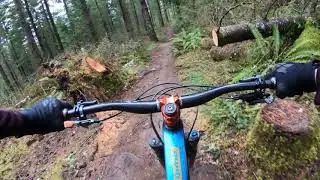 Cheech & Chong's Wild Ride - Winter at Galbraith Bellingham WA