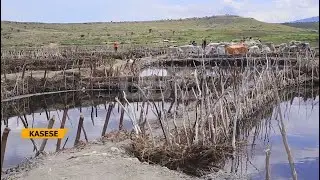 LAKE KATWE SALT PONDSMINERS, DEALERS DECRY LOW SALT PRICES