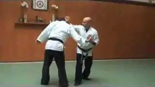 Grand Master Martial Artist Action Packed!