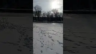 trashed 1771491259 VID 20260120 093820