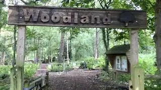 Virtual Woodland Walk
