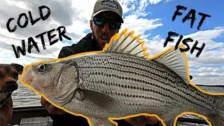 Small Baits, Big Winds, BIG FISH!! (Fall Fishing)