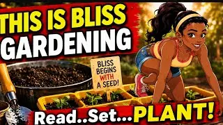 Start Seeds Now: Winter Indoor Kit, Mosquito Bits, Worm Castings + Lettuce Hydroponics Check-In