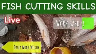 LIVE Fish Cutting Skills | Fast Fish Cleaning & Cutting | Street Fish Cutting