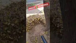 Testing the Ingco CABLI20323 leafblower 🍃. #michaelstoolbench #ingco #leafblower #gardentools