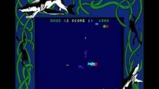 Coin-Op Games 1981 - Shark Attack (Pacific Novelty) [MAME]