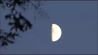 1st Sabbath this lunar month