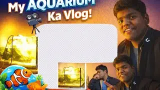 Fish Tank Setup From Scratch | Indian Aquarium Vlog 🇮🇳