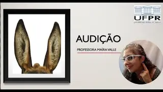 AULA 8: Audi&ccedil;&atilde;o