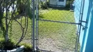 Budlow Lawn Care 10. 242-451-5734