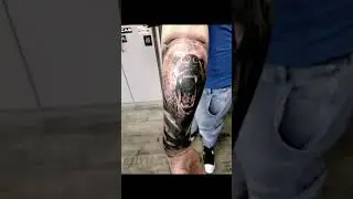 Realistic Bear Tattoo #tattoo #realistic #realistictattoo #beartattoo #blackandgre