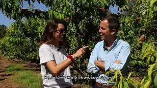 Unsere Finca La Florentina | Naranjas del Carmen