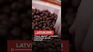 &ldquo;Горох, даром!&rdquo; - в Латвии стартовала летняя агроакция