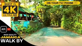 ✔️EPIC Fern Gully Drive Thorough Tour Jamaica 2021 4K