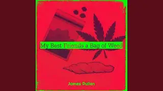 My Best Friends a Bag of Weed