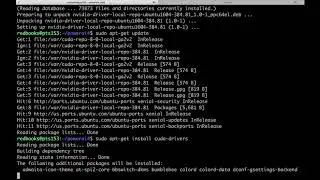 PowerAI RC4 Installation Guide