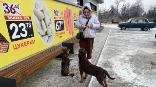 Попрацювали від душі,теплий обід | Подбайте про тих, хто не може попросити 🐕