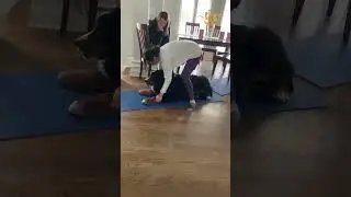 Watch How Integrative Therapy Gets This Doggo to Walk!