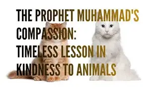 The Prophet Muhammad's Compassion: Timeless Lesson in Kindness to Animals 