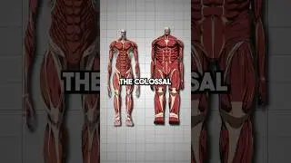 Colossal Titan vs Wall Titans | AOT Explained  #attackontitan #armin #aot
