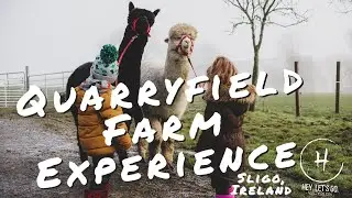 Quarryfield Farm Experience. Sligo, Ireland!