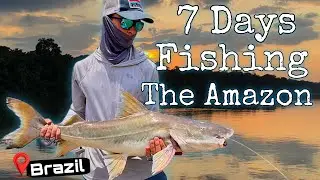 Multi-Species Amazon Fishing in Brazil | Rio Aripuana Peacock Bass, Catfish & Piranha