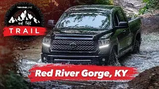 Off-Roading to Red River Gorge Rock Climbing l On The Trail