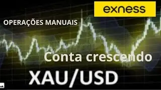 Conta cent Exness - Opera&ccedil;&otilde;es Manuais - Conta Continua Crescendo             #dindin #trader #money