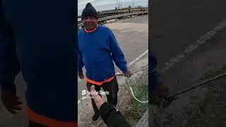 Be Kind   SHARE FISH