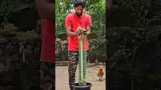 orchid tower making🤩🔥#short #shorts