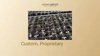 Buy White Label CBD Products | Hemp Depot  Your Trusted Source for Custom Formulated CBD Products