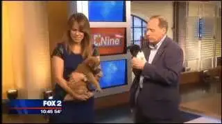 Puppy Training Tips from The Family Puppy